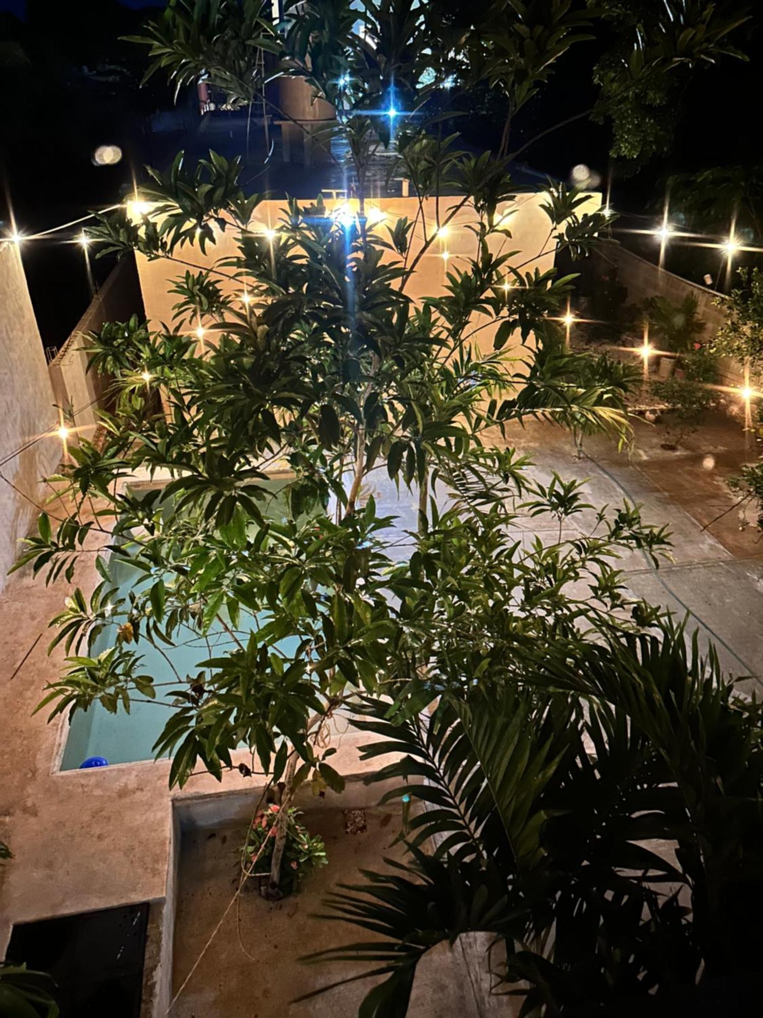 Departamento 48 Street Daire Valladolid  Dış mekan fotoğraf